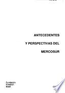 Antecedentes y perspectivas del MERCOSUR.