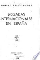 Brigadas internacionales en España