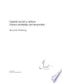 Capital social y cultura
