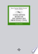 Conceptos básicos de Derecho procesal civil