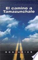 El camino a Tamazunchale