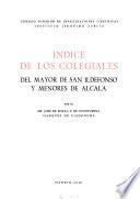 Indice de los colegiales del mayor de San Ildefonso y menores de Alcalá