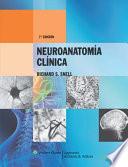 Neuroanatomía Clínica