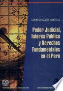Poder judicial, interés público y derechos fundamentales en el Perú